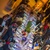 Party - Davide De Pas Pictures - Rock Love Play