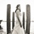 Wedding - Davide De Pas Pictures - Rock Love Play