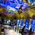 Wedding - Davide De Pas Pictures - Rock Love Play