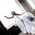 Wedding - Davide De Pas Pictures - Rock Love Play